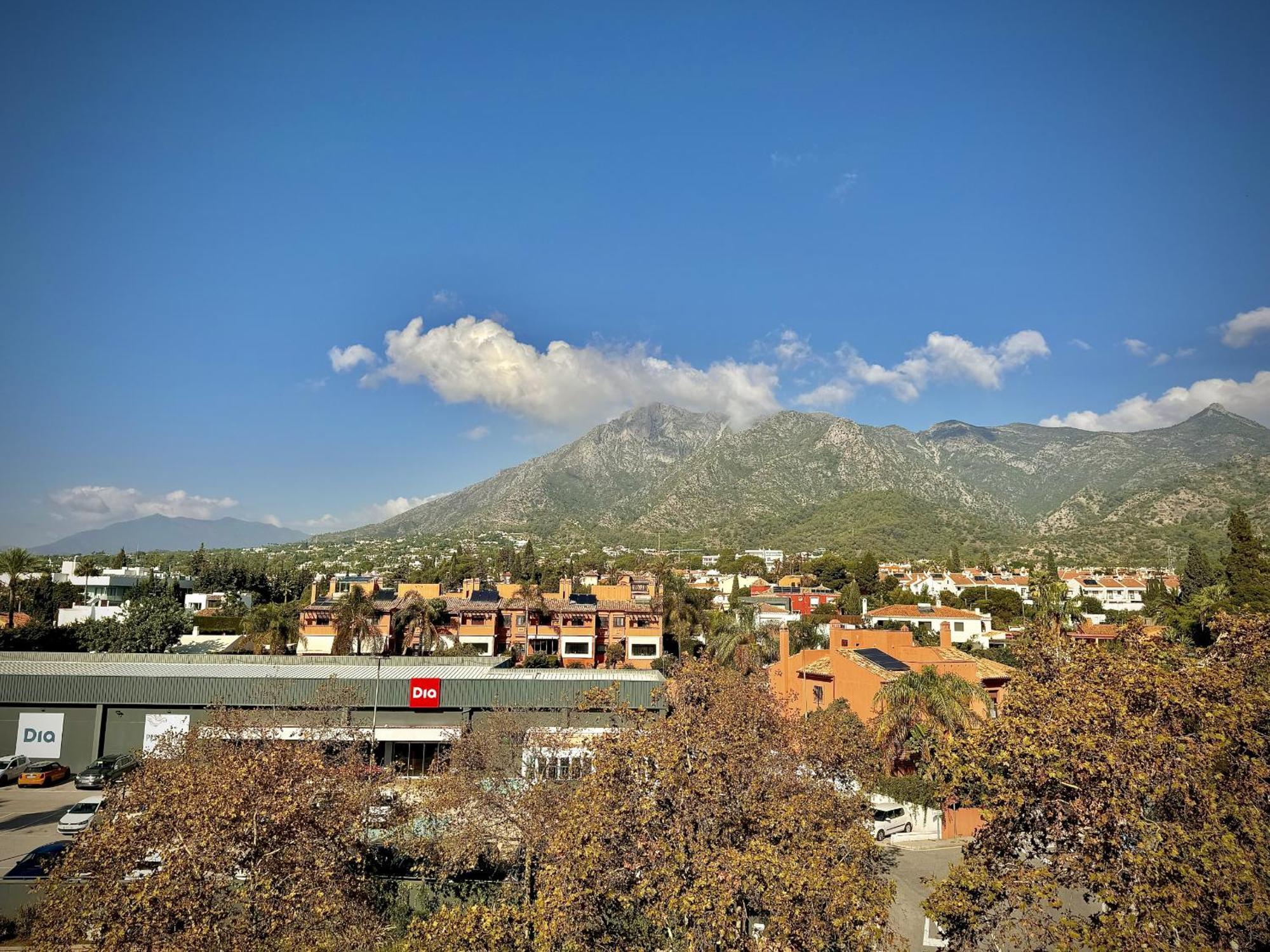 Palms W Sea Views By Homing Marbella